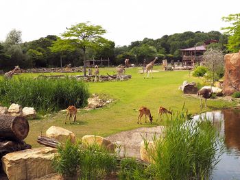 4 Tage Freizeitspaß im Leipziger Zoo für die Familie