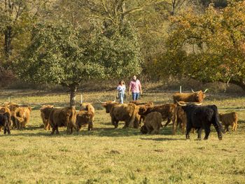 Körbchen voller Ostereier und Ostertage in Franken