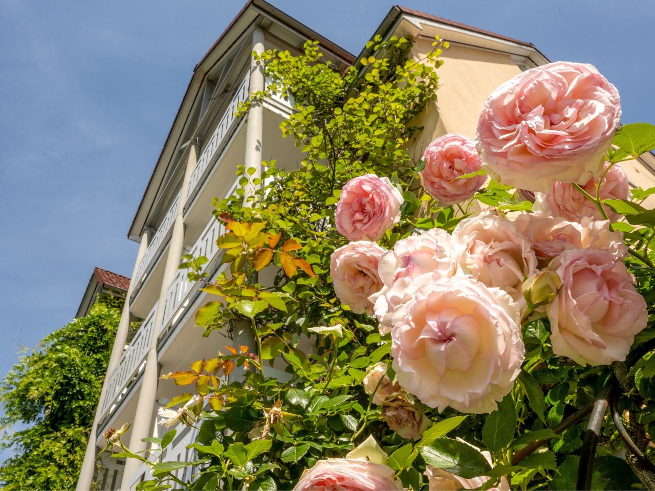 Therme Lindau und die historische Altstadt Wangen