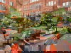 3 Tage Entspannung in Amsterdam