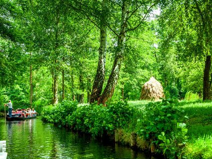 Erlebnishighlights Berlin, Potsdam und der Spreewald