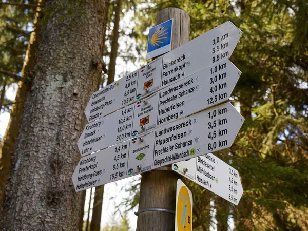 WanderVergnügen im Schwarzwald in Elzach-Oberprechtal Halbpension Plus