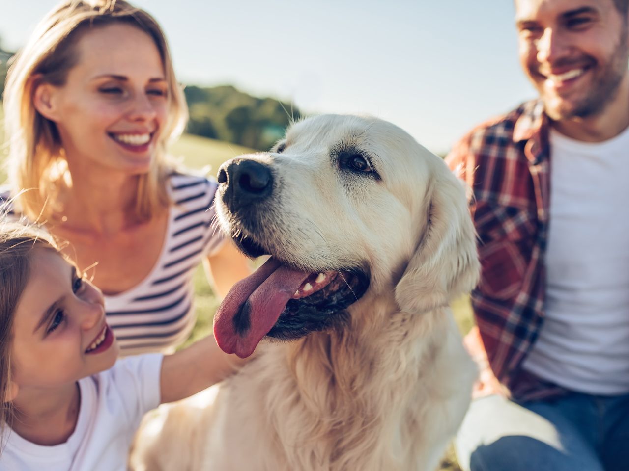 Urlaub mit Hund - Ferien auf vier Pfoten HP - 2 N