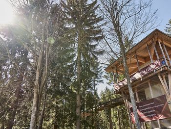 Frühlingserwachen Bayerischer Wald mit Baumwipfelpfad