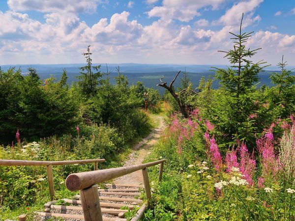 4 Tage Bergzeit mit Premium All In & Prosecco in Kurort Oberwiesenthal All Inclusive Plus