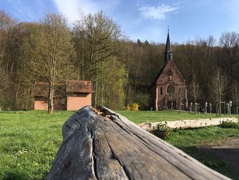 Körbchen voller Ostereier und Ostertage in Franken