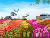 3 Tage Auszeit in der malerischen Stadt Zaandam