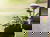 2 Tage Citytrip nach Bonn