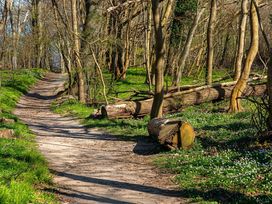 Ostern auf Rügen genießen