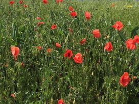 2 Tage im Vital Hotel An Der Therme in Bad Windsheim