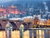 Schlösser in Heidelberg und Schwetzingen - 2 Tage