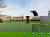 Entspannungstage 3-Times mit 36.000 m² Wellness