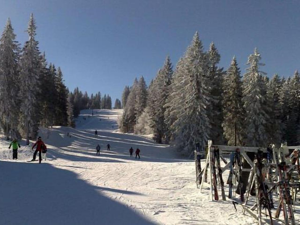 7 Tage Erholung im Bio- und Wellnesshotel Alpenblick