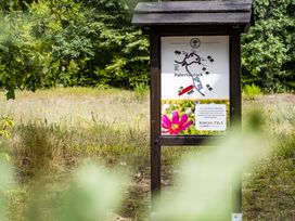 Natur Pur in der Schorfheide: 3 Tage Alltags-Detox