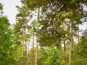 Wandern und Entdecken in der Lüneburger Heide