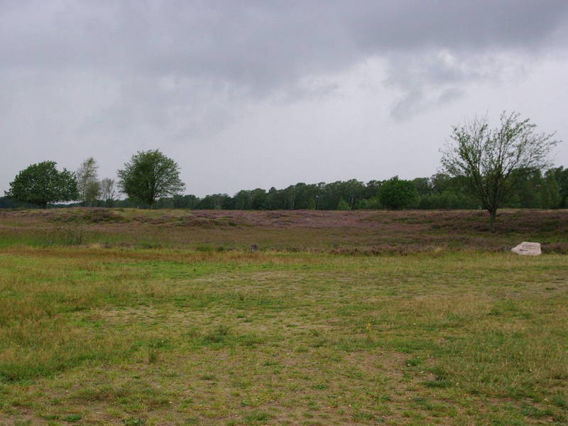 DAS VERRÜCKTE HAUS und Abenteuerlabyrinth