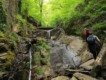 Entdecken Sie den Rhein und seine Umgebung - 7 Tage