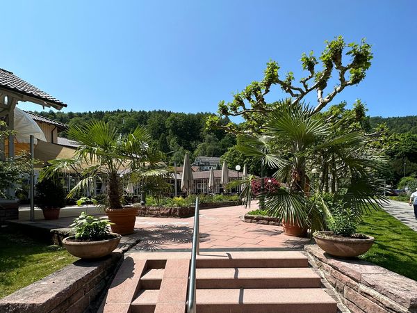 3 Tage Schwarzwald: Aktiv -Trip - Wandertrip in Bad Herrenalb, Baden-Württemberg inkl. Halbpension