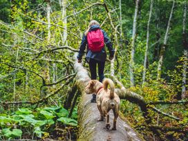 Wanderurlaub Pfälzerwald inkl. Halbpension | 5 Tage