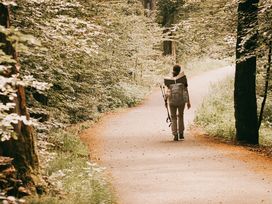 Grüne Auszeit: 5 Tage in der Natur am Rennsteig