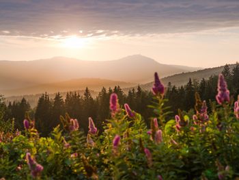 Eine Woche im Bayerischen Wald mit All incl. Light