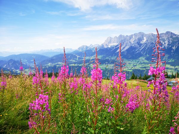 4 Tage Tiroler Familien-Wellnessabenteuer im Schloss in Fieberbrunn inkl. Halbpension Plus