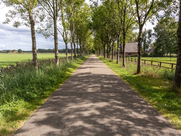 6 Tage Stadtnah entspannen am Tor zur Veluwe in Apeldoorn Halbpension