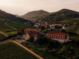 Wanderurlaub Pfälzerwald inkl. Halbpension | 5 Tage