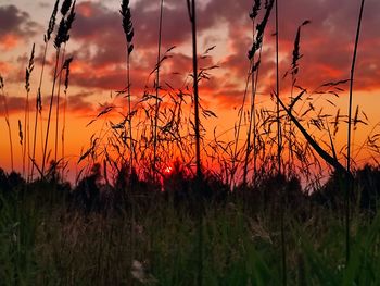 Bild 18 von 20