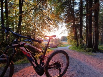 3 Tage Bio-Familienkurzurlaub in den Alpen