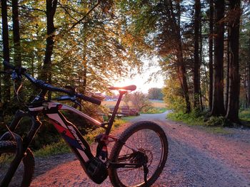 5 Tage veg. Bio-Aktiv in den Alpen mit E-Bike