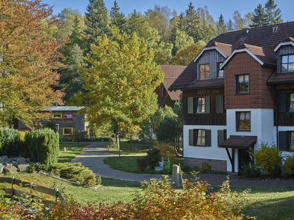 Ruhe im Harz - 4 Tage Erholung & Sport in Braunlage
