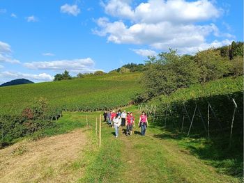 3 Tage Wandern: Weinberge und Schwarzwaldlandschaften