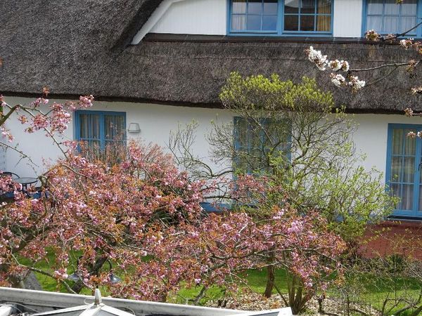 2 Tage in der jüngsten Stadt Rügens mit Frühstück Wreecher Hof in Putbus, Mecklenburg-Vorpommern inkl. Frühstück