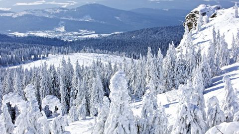 Großer Arber im Winter