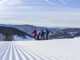 Umgeben vom Schwarzwald - 2 Tage Erholung am Titisee