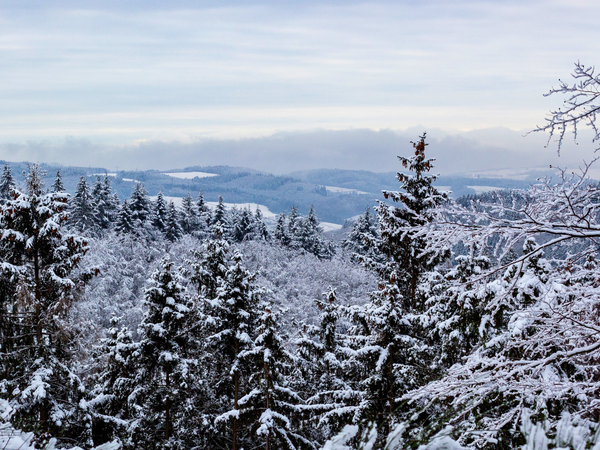 Winterzauber – 2 Tage Wohlfühlen in der Pfalz in Kirchheimbolanden, Rheinland-Pfalz inkl. Frühstück