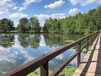 Naturverliebt in der Heide