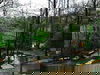 Familytrip 5 Tage mit HP im IKUNA Naturresort