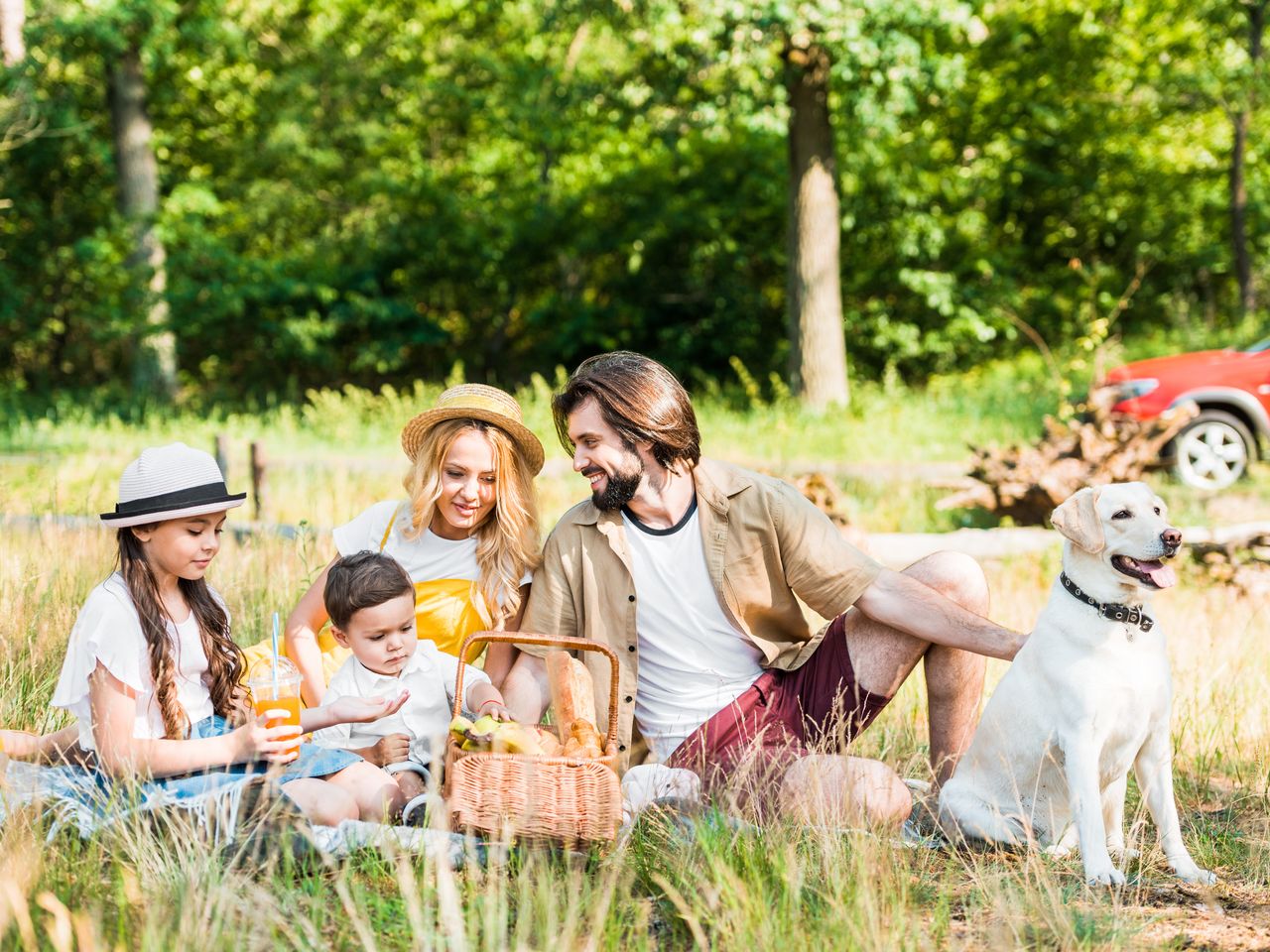 6 Tage Sommer, Sonne, Sonnenschein – Moselurlaub pur