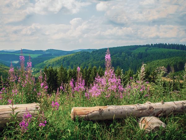 3 Tage Kurzurlaub in Astenkrone-Winterberg, Nordrhein-Westfalen inkl. Halbpension
