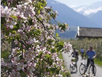 Pure Entspannung - 5 Tage im ruhigen Meran