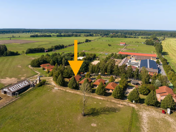 Ferienhaus - Haflinger
