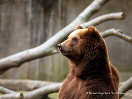 Tierpark und Tropen Aquarium Hagenbeck in Hamburg mit Hotel