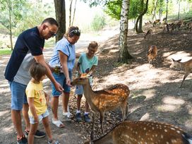 Sommerferien im Freizeitpark - 4 Tage