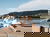 Urlaub mit Hund am Naturparadies Bodensee  | 3 Tage
