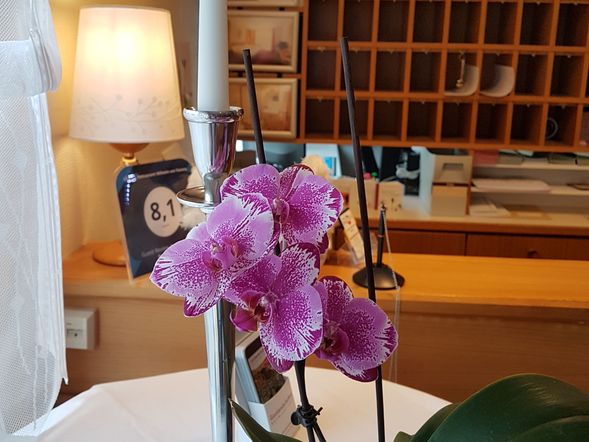 Hotel Wilhelm von Nassau