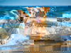 3 = 2 Ostsee-Wellness-Auszeit