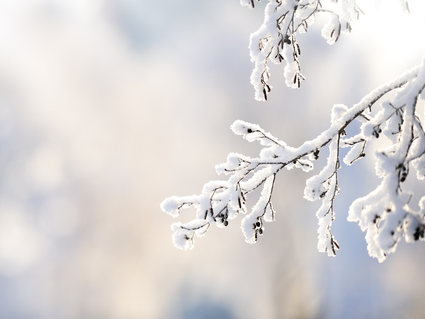 Winterliche Wohlfühltage - 4 Tage mit Wellness & Beauty