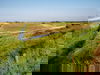 3 Tage Erholung pur in den Dünen von Zeeland